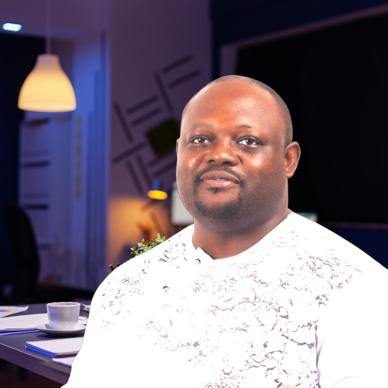 Portrait professionnel